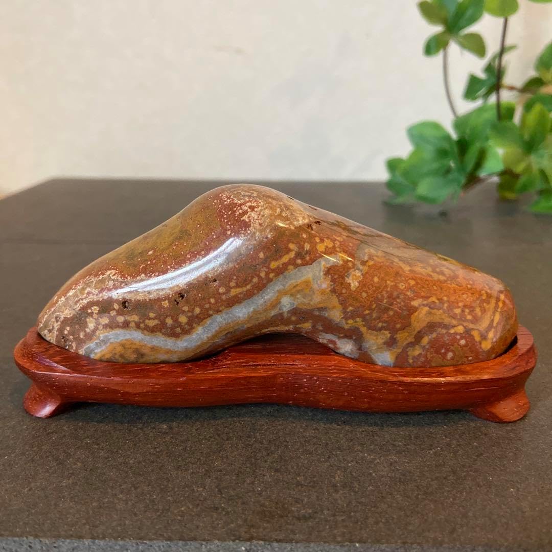 虹のような根尾桜石 ☆鑑賞石 菊花石 桜石 Amazon.co.